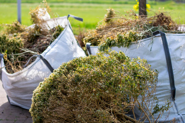 Shed Removal in Bowling Green, OH